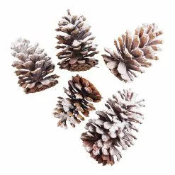 Brand new ???? Assorted Pinecone Mix by Ashland® ⌛ -Ashland Sales 10703682 2