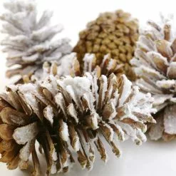 Brand new ???? Assorted Pinecone Mix by Ashland® ⌛ -Ashland Sales 10703682 3