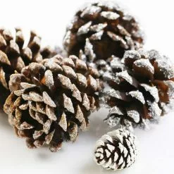 Best Sale ???? Snow Dusted Pinecones by Ashland® ???? -Ashland Sales 10703688 3