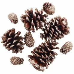 Best Sale ???? Brown & Gold Glitter Pinecones by Ashland® ????