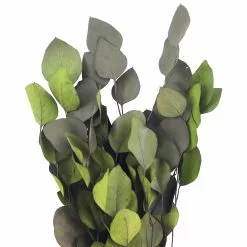 Outlet ✨ Assorted Dried Leaf Bouquet by Ashland® ???? -Ashland Sales 10703829 2