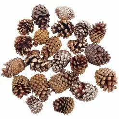 Hot Sale ???? Assorted Cinnamon Scented Pinecones by Ashland® ???? -Ashland Sales 10703830 2