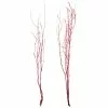 Best Sale ???? Assorted Red Birch Branch by Ashland® ⭐ 2 Best Sale ???? Assorted Red Birch Branch by Ashland® ⭐ -Ashland Sales 10703836 1