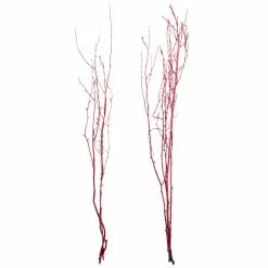 Best Sale ???? Assorted Red Birch Branch by Ashland® ⭐