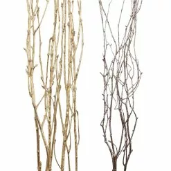 Coupon ???? Assorted Gold Birch Branch by Ashland® ???? 5 Coupon ???? Assorted Gold Birch Branch by Ashland® ???? -Ashland Sales 10703839 2