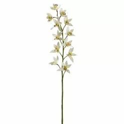 Deals ???? 8 Pack: Cream Boat Orchid Stem by Ashland® ????