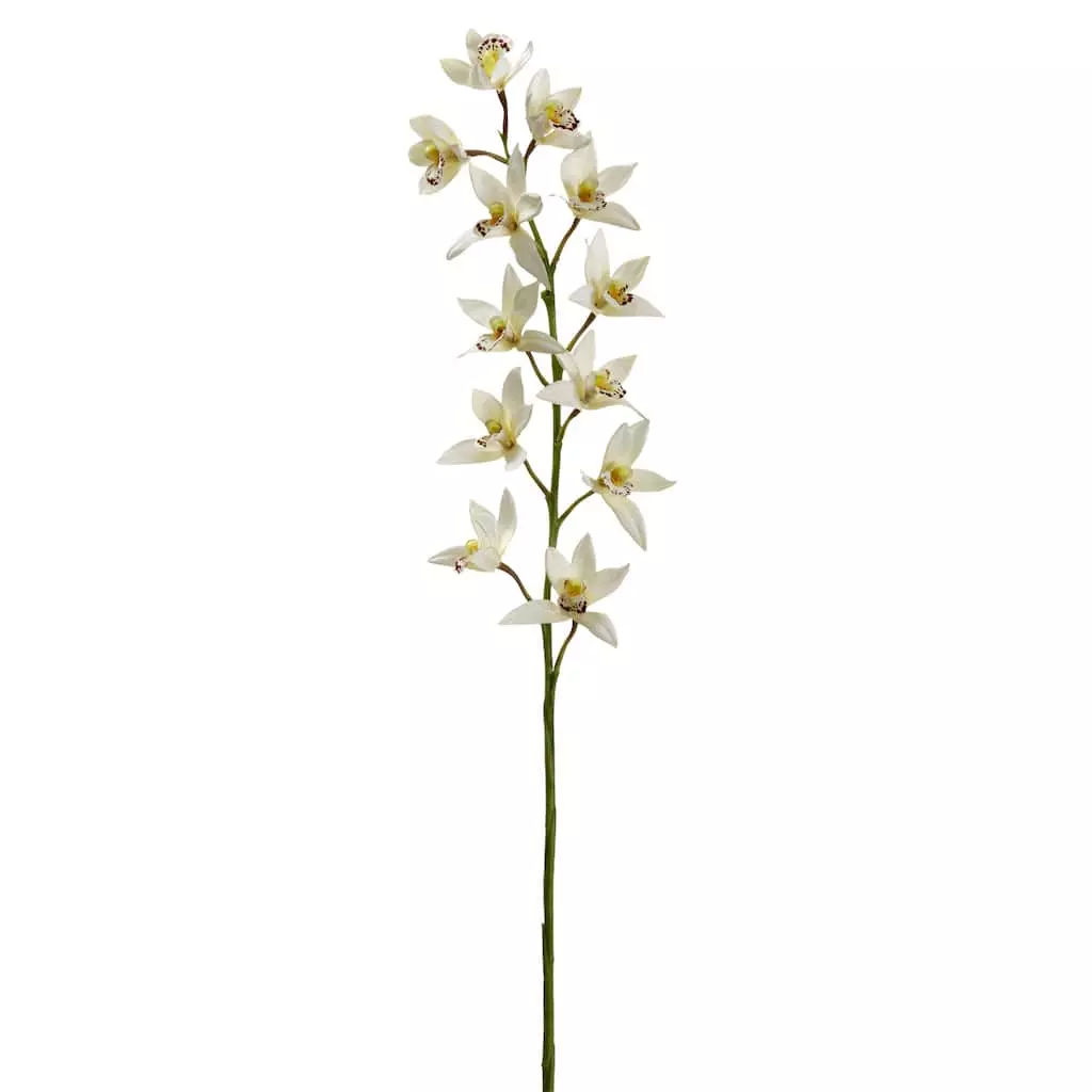 Deals ???? 8 Pack: Cream Boat Orchid Stem by Ashland® ???? 3 Deals ???? 8 Pack: Cream Boat Orchid Stem by Ashland® ????