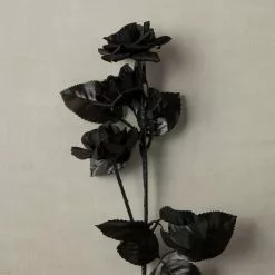 New ???? 12 Pack: Black Diamond Rose Spray by Ashland® ???? -Ashland Sales MP012412 25