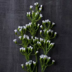 Outlet ✔️ 12 Pack: Ivory Mini Baby's Breath Spray by Ashland® ???? -Ashland Sales MP035159 22