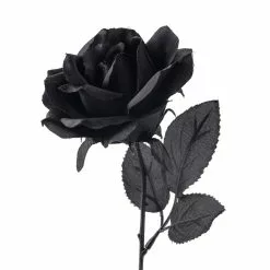 Flash Sale ❤️ 12 Pack: Black Open Rose Stem by Ashland™ ???? -Ashland Sales MP035292 20