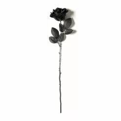 Flash Sale ❤️ 12 Pack: Black Open Rose Stem by Ashland™ ???? -Ashland Sales MP035292 21