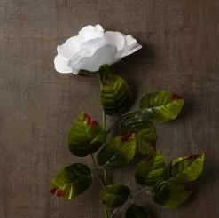 Brand new ⌛ 24 Pack: White Holland Rose Stem by Ashland® ???? -Ashland Sales MP056110 25