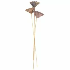 Deals ✨ 12 Pack: Natural Lotus Pods Stem by Ashland® ⌛