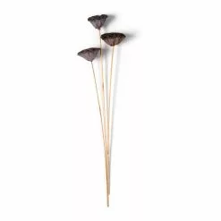 Deals ✨ 12 Pack: Natural Lotus Pods Stem by Ashland® ⌛ 11 Deals ✨ 12 Pack: Natural Lotus Pods Stem by Ashland® ⌛ -Ashland Sales MP065712 21