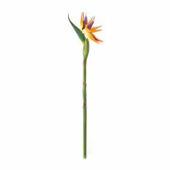 Coupon ???? 12 Pack: Yellow Bird of Paradise Stem by Ashland® ???? -Ashland Sales MP066898 21