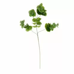 Wholesale ???? 12 Pack: Green Eucalyptus Branch by Ashland® ???? -Ashland Sales MP067561 30