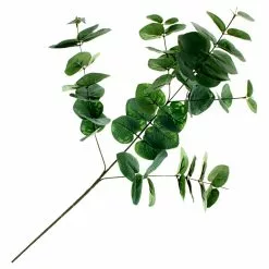 Flash Sale ???? 12 Pack: Green Eucalyptus Spray by Ashland® ????