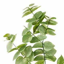 Cheap ⌛ 12 Pack: Green Eucalyptus Branch by Ashland® ????