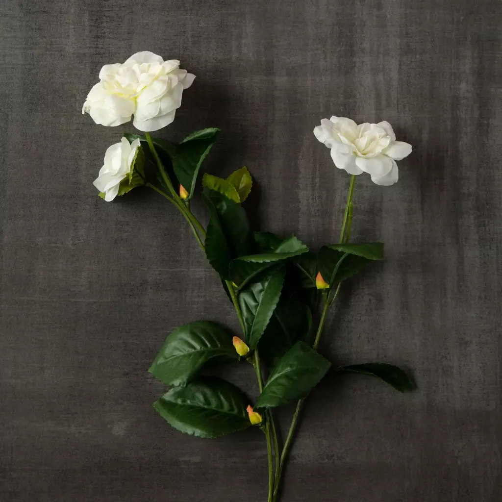 Best Pirce ???? 12 Pack: White Gardenia Spray by Ashland® ???? 4 Best Pirce ???? 12 Pack: White Gardenia Spray by Ashland® ???? - Image 2