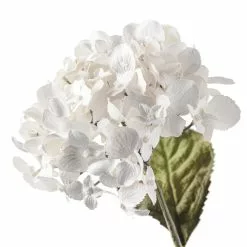 Wholesale ✔️ 12 Pack: Pearl Hydrangea Stem by Ashland® ???? -Ashland Sales MP110873 20
