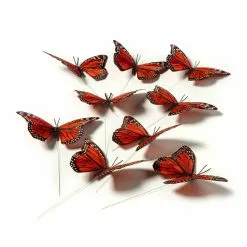 Best reviews of ???? 8 Packs: 8 ct. (64 total) Assorted 8.6" Monarch Butterfly Pack by Ashland® ???? -Ashland Sales MP128655 21