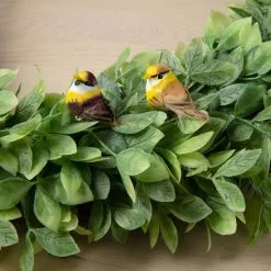 Outlet ✔️ 24 Packs: 2 ct. (48 total) Mushroom Birds by Ashland™ ???? -Ashland Sales MP128801 25