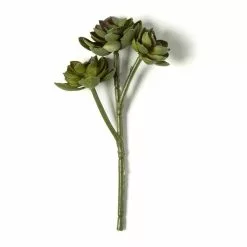 Budget ???? 12 Pack: Assorted Succulent Pick by Ashland® ???? -Ashland Sales MP128870 21