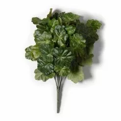 Flash Sale ✔️ 10 Pack: Coral Bell Bush by Ashland® ???? -Ashland Sales MP129104 21