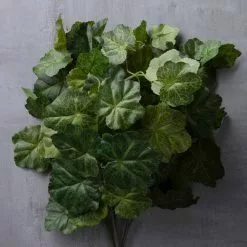 Flash Sale ✔️ 10 Pack: Coral Bell Bush by Ashland® ???? -Ashland Sales MP129104 25