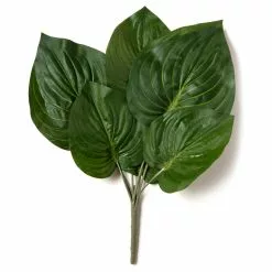 Top 10 ⭐ 12 Pack: Green Hosta Bush by Ashland® ???? -Ashland Sales MP131106 21