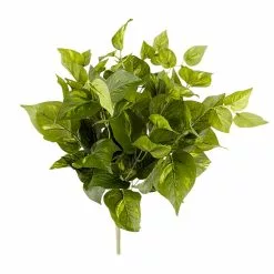 Hot Sale ???? 12 Pack: Pothos Bush by Ashland® Real Touch™ ????