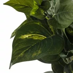 Hot Sale ???? 12 Pack: Pothos Bush by Ashland® Real Touch™ ???? -Ashland Sales MP131108 20