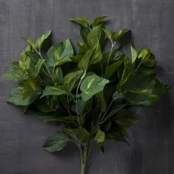 Hot Sale ???? 12 Pack: Pothos Bush by Ashland® Real Touch™ ???? -Ashland Sales MP131108 22