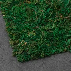 Brand new ???? 12 Pack: Moss Table Runner by Ashland® ⭐ -Ashland Sales MP135021 21