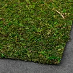 Wholesale ✔️ 12 Pack: Moss Mat by Ashland® ⌛ -Ashland Sales MP135027 21