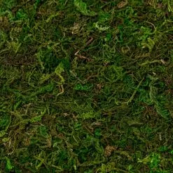 Wholesale ✔️ 12 Pack: Moss Mat by Ashland® ⌛ -Ashland Sales MP135027 22