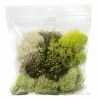 Flash Sale ???? 6 Pack: Moss Variety Pack by Ashland® ❤️ 1 Flash Sale ???? 6 Pack: Moss Variety Pack by Ashland® ❤️ -Ashland Sales MP135036 1