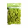 Flash Sale ???? 12 Pack: Reindeer Moss by Ashland® ✨ -Ashland Sales MP135038 1