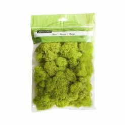 Flash Sale ???? 12 Pack: Reindeer Moss by Ashland® ✨
