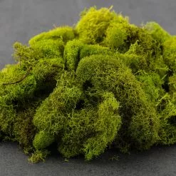 Flash Sale ???? 12 Pack: Reindeer Moss by Ashland® ✨ -Ashland Sales MP135038 21