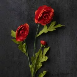 Best deal ???? 18 Pack: Orange Ranunculus Spray by Ashland® ⌛ 9 Best deal ???? 18 Pack: Orange Ranunculus Spray by Ashland® ⌛ -Ashland Sales MP140467 22