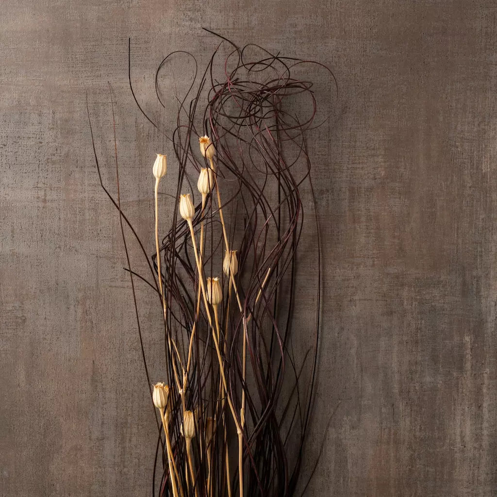 Best Pirce ???? 8 Pack: Dried Lagurus Floral Bouquet by Ashland® ✔️ 5 Best Pirce ???? 8 Pack: Dried Lagurus Floral Bouquet by Ashland® ✔️ - Image 3