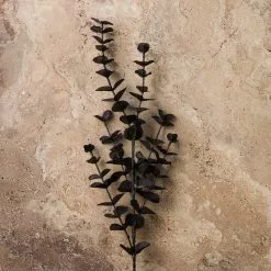 Promo ???? 12 Pack: Black Eucalyptus Spray by Ashland® ???? -Ashland Sales MP158724 22