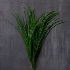 Buy ???? 8 Pack: Assorted Grass Bush by Ashland® ⭐ -Ashland Sales MP189538 25