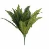 Buy ???? 12 Pack: Boston Fern Bush by Ashland® ???? 2 Buy ???? 12 Pack: Boston Fern Bush by Ashland® ???? -Ashland Sales MP194922