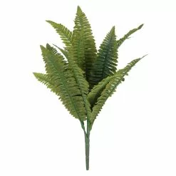 Best Sale ???? 12 Pack: Green Boston Fern Bush by Ashland® ????