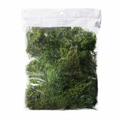 Cheap ???? 12 Pack: Preserved Forest Moss by Ashland® ????