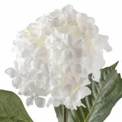 Best reviews of ???? 12 Pack: White Hydrangea Spray by Ashland® ✔️ -Ashland Sales MP213406 20