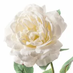 Top 10 ???? 12 Pack: White Sophia Rose Stem by Ashland® ???? -Ashland Sales MP213470 20