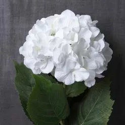 Outlet ???? 12 Pack: Classic Traditions™ White Hydrangea Stem by Ashland® ✨ -Ashland Sales MP213498 22